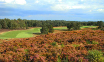 Long hole on the New Course at Sunningdale