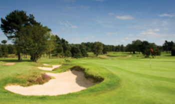 Large green bunkers on the New Course at Walton Heath