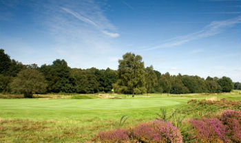 Green and heather on the Old Course at Walton Heath