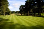 Tee sobre el campo de golf de Beau Desert 