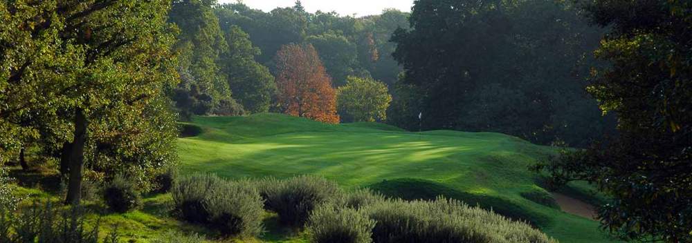 Elevated green at the Wimbledon golf course