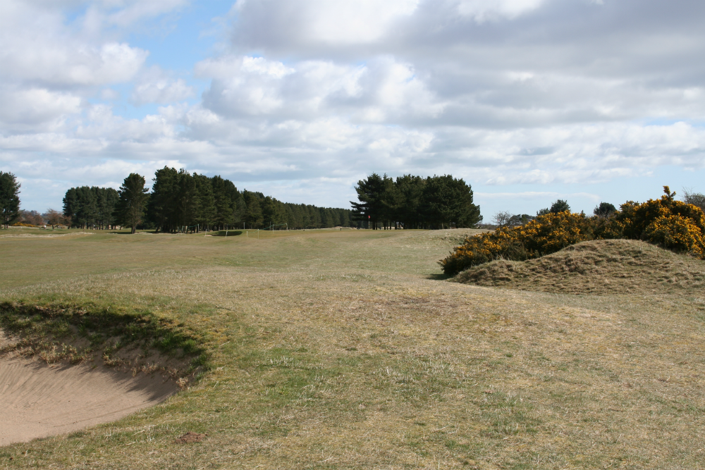 Hole at Monietieth 