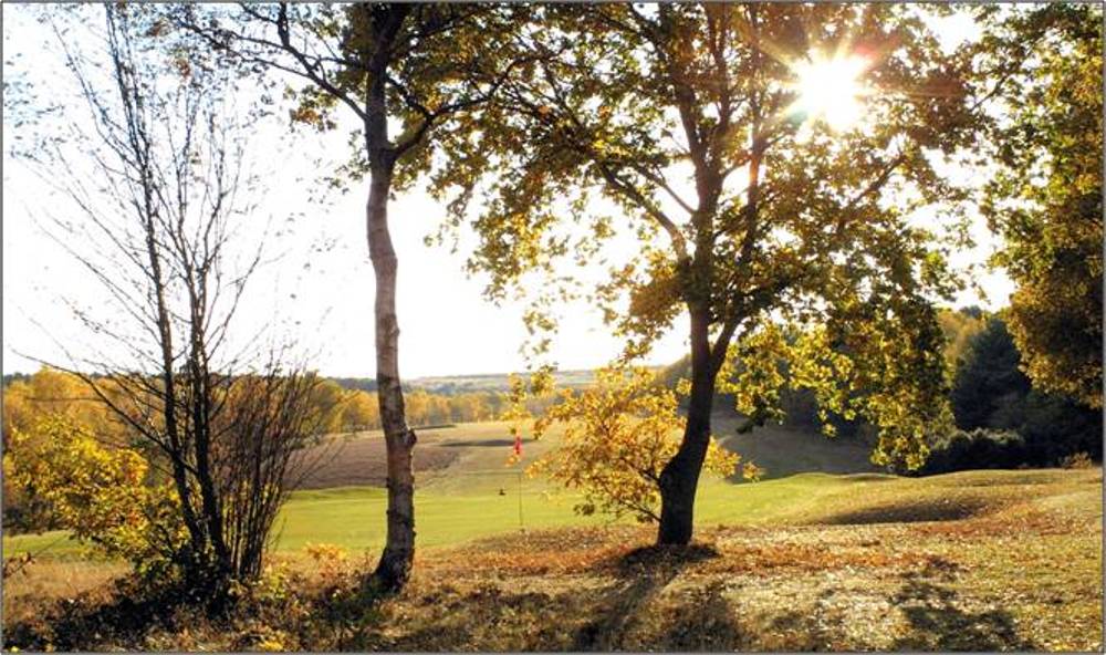 Green and trees at Sherwood Forest