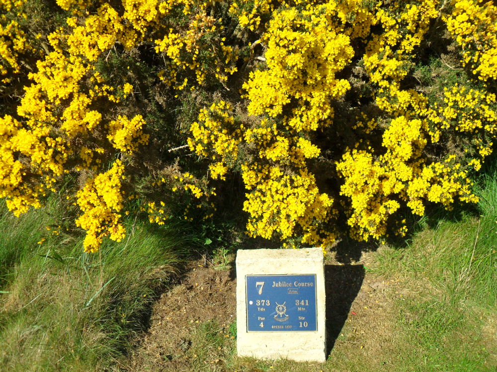 7th hole at  Jubilee Golf Course