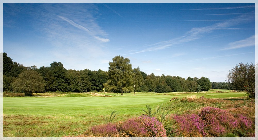 Green and heather on the Old Course at Walton Heath