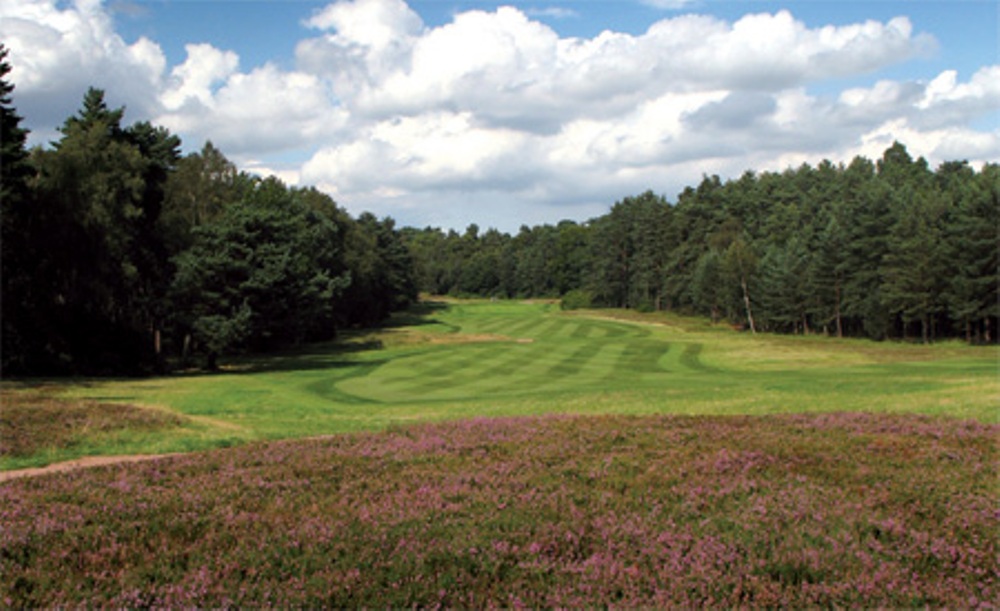 Narrow fairway and heather on the red course at The Berkshire Golf Club