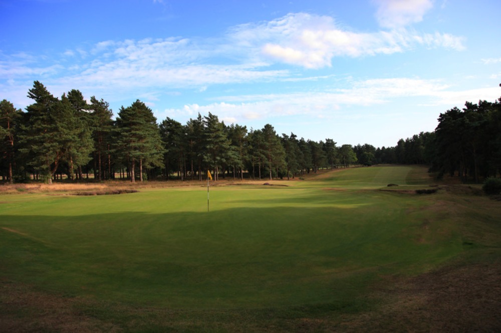 Large green at Hankley Common