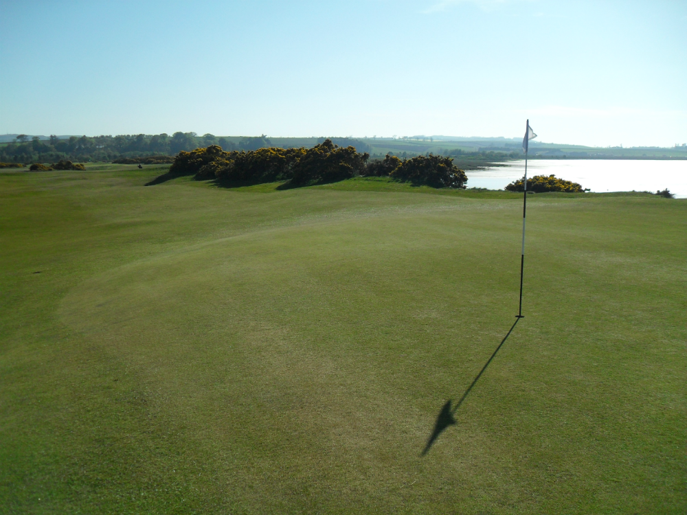 7th green at Eden Course