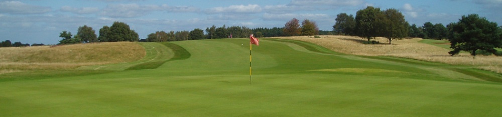 Green and narrow fairway at the Delamere Forest golf course