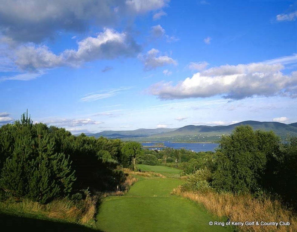 Tree of Ring of Kerry golf course