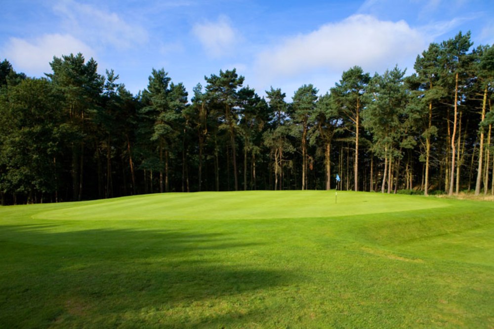 Large green surrounded by trees on the Beau Desert golf course