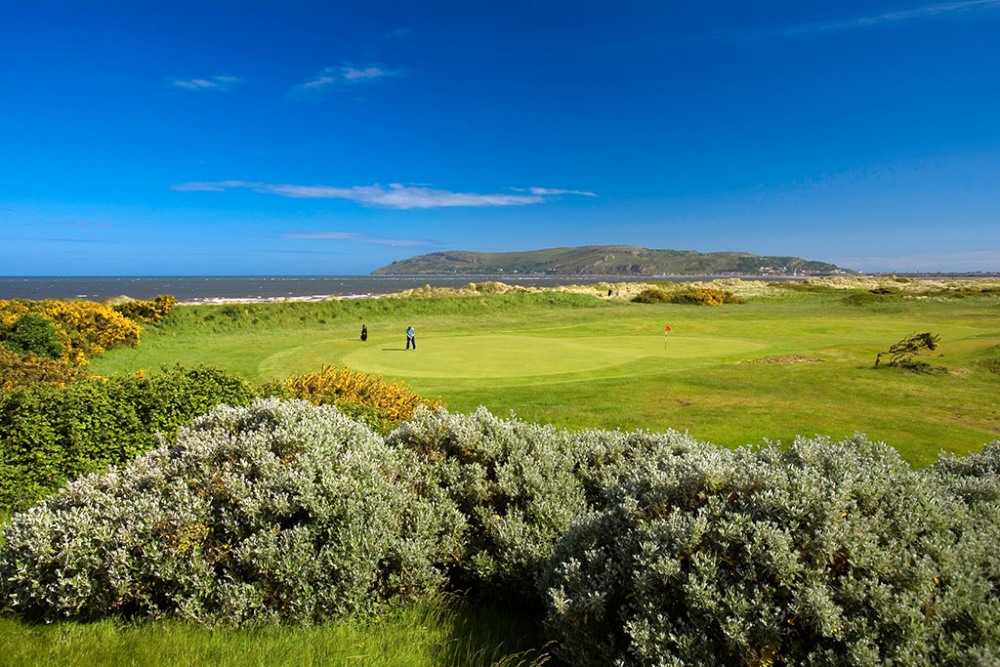 Golfer putting on the Conwy golf course