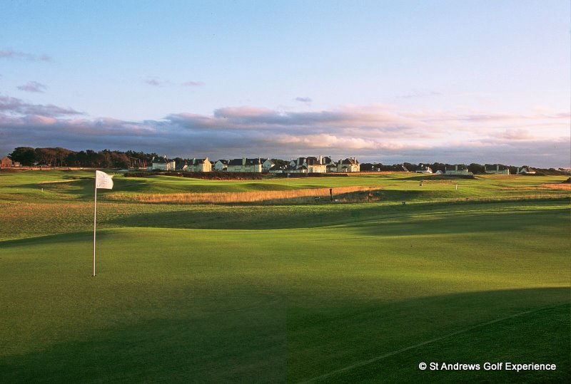 Undulated green at Craigielaw
