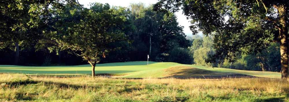 Green and trees at the Wimbledon golf course
