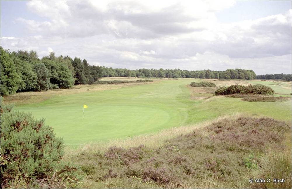 Back of one of the green on the Alwoodley golf course