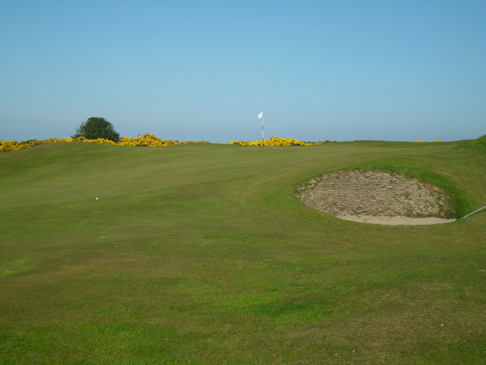 8th hole at Eden Course