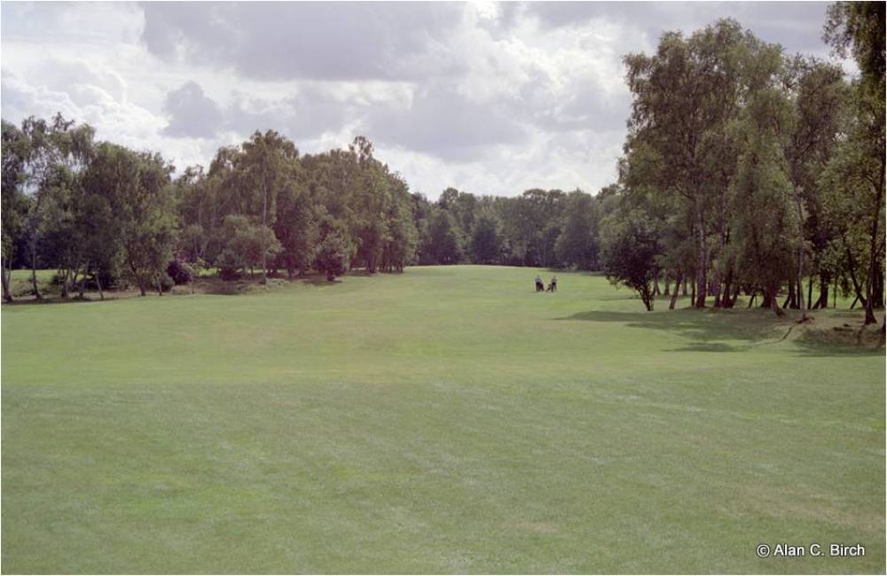 Golfers playing on the Moortown golf course