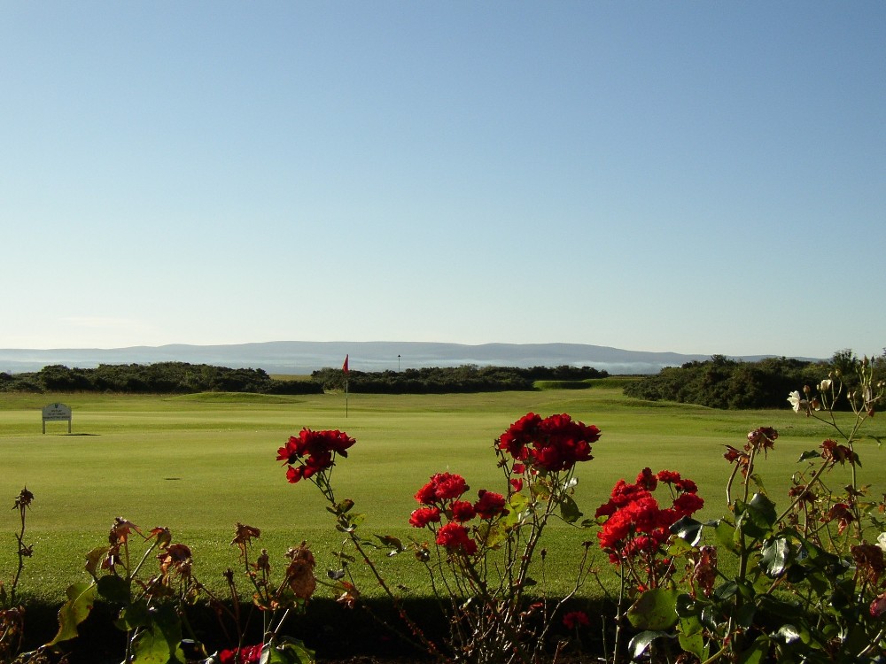 green behind flowers at Fortrose and Rosemarkie golf course