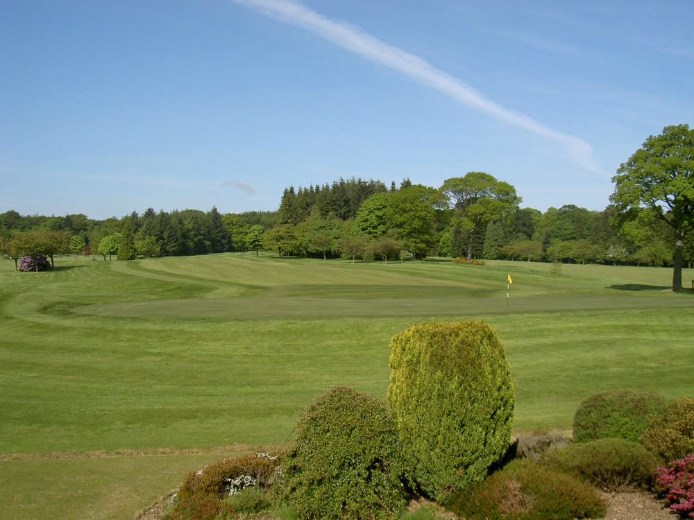 1st hole at Downfield