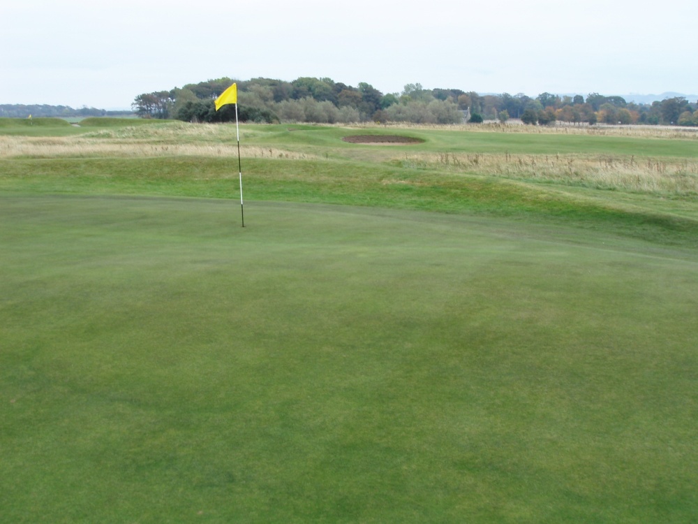 Luffness New's ondulated green