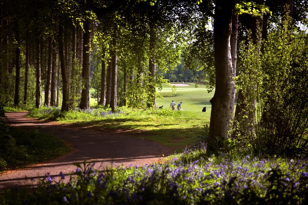 Woods and players on the Wales National course at the Vale resort