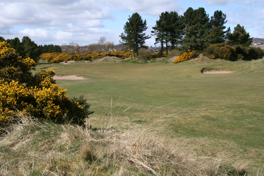 Monietieth's Fairway