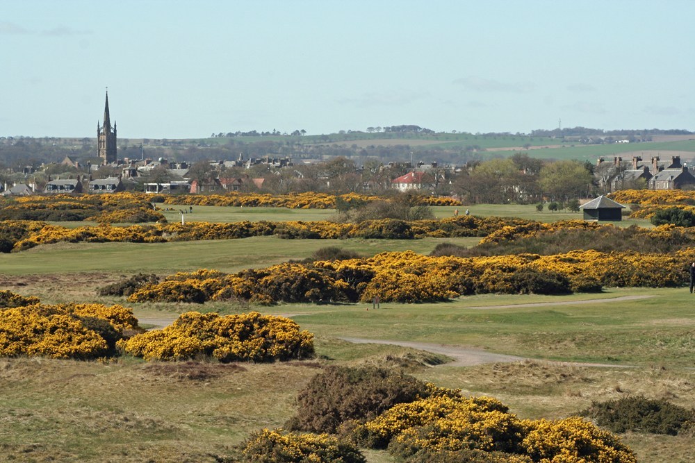 Town behind holes at Montrose Medal golf course