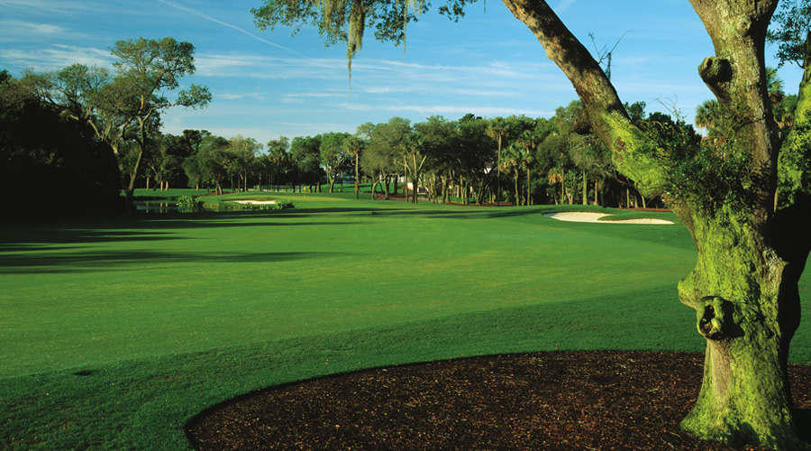 Trou 9 sur le parcours Turtle Point à Kiawah en Caroline du Sud 