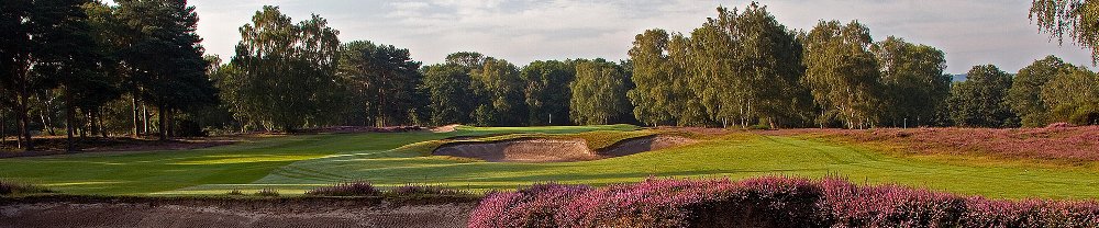 Fairway bunker and heather on the West Sussex golf course