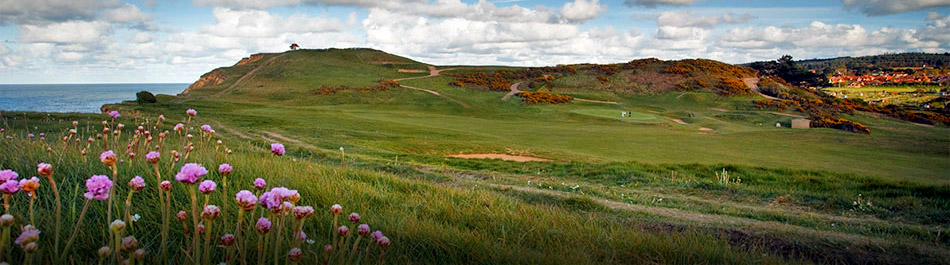 Flowers and rough on the Sheringham golf course