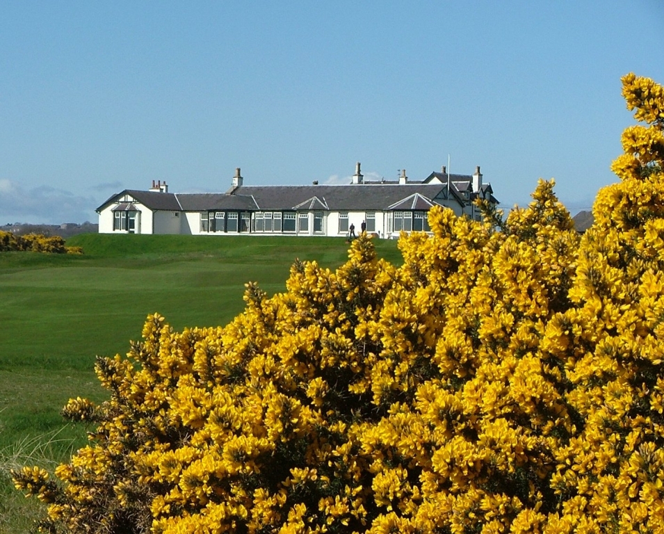 Gorse and Club House at Royal Aberdeen