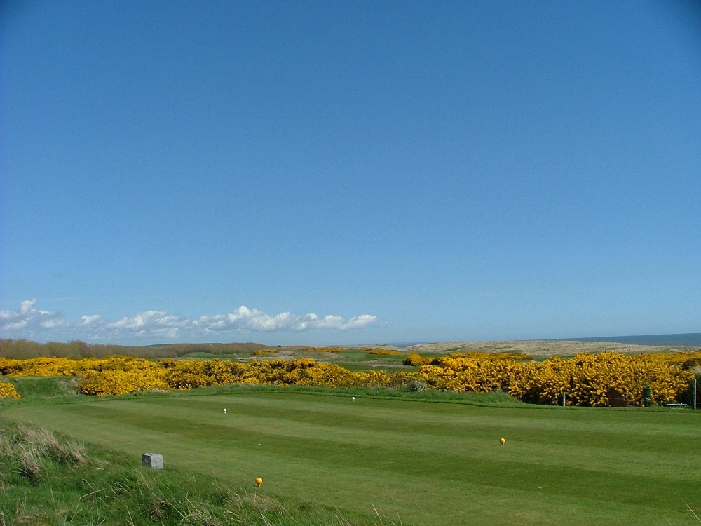 Tee box on the Balgownie Golf course at Royal aberdeen