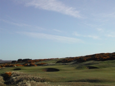 Green bunkers at Montrose Medal golf course