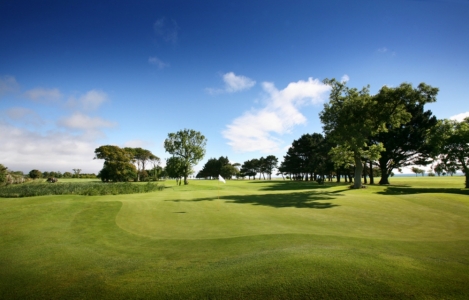 Green of the Woodbrook golf course