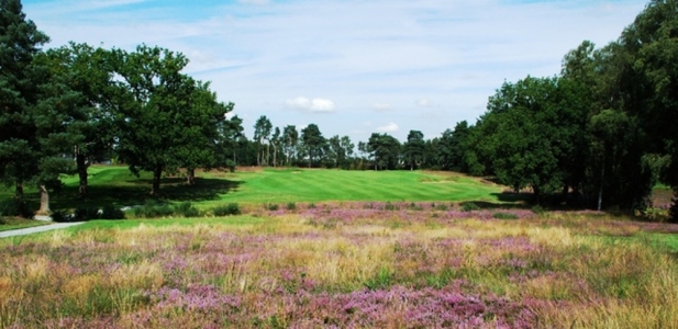 Fairway and heather at West Hill golf course