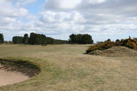 Hole at Monietieth 