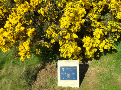 7th hole at  Jubilee Golf Course