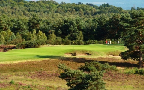 Tiny green and heather on the New Course at the Sunningdale golf club