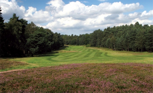 Narrow fairway and heather on the red course at The Berkshire Golf Club