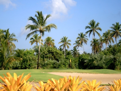 Green, bunkers et palmiers sur le parcours de Comandatuba