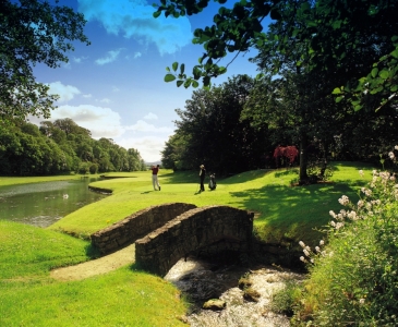 Par 3 at Mount Juliet golf course