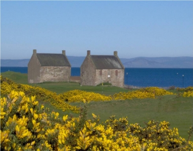 Prestwick St nicholas's houses