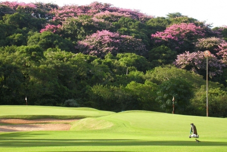 Greens on the Porto Alegre golf course