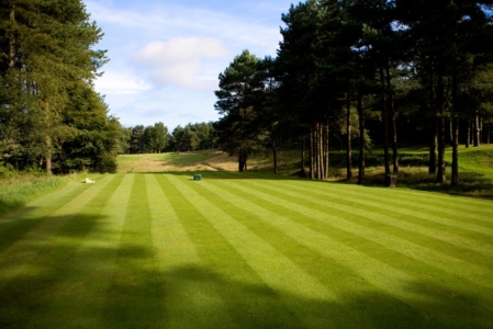 Tee on the Beau Desert golf course