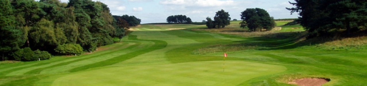 Downhill hole at the Delamere Forest golf course