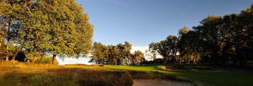 Elevated green at Ipswich golf course