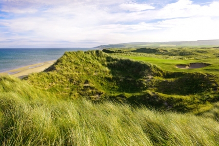 Elevated green at Machrihanish Dunes