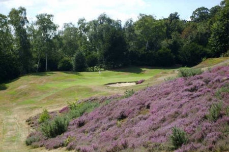 Green et bruyère sur le parcours d'Addington
