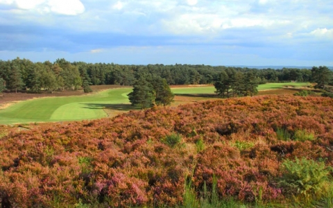 Par 5 dogleg right on the New Course at the Sunningdale golf club