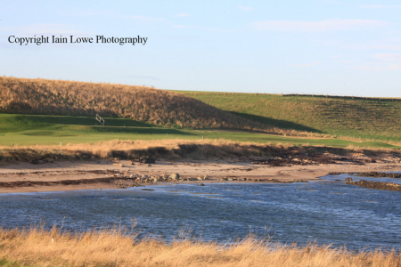5th green at Crail Balcomie